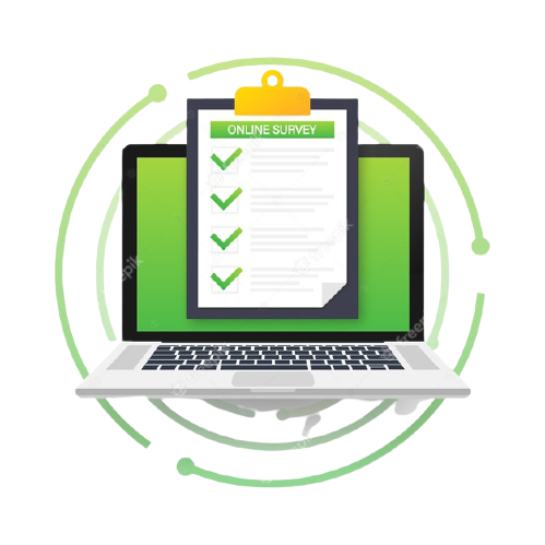 Online Surveys